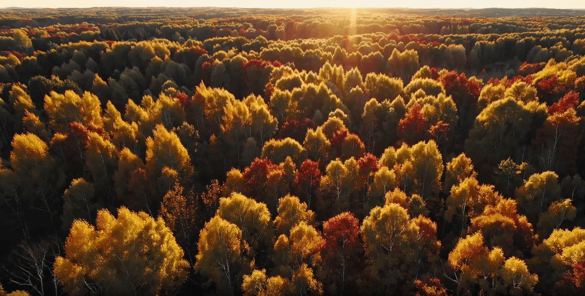 VORTEILSPREISE IM HERBST